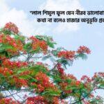 শিমুল ফুল নিয়ে স্ট্যাটাস