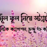শিমুল ফুল নিয়ে স্ট্যাটাস, রোমান্টিক ক্যাপশন, ছন্দ ও কবিতা