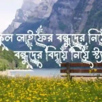 স্কুল লাইফের বন্ধুদের নিয়ে স্ট্যাটাস - বন্ধুদের বিদায় নিয়ে স্ট্যাটাস