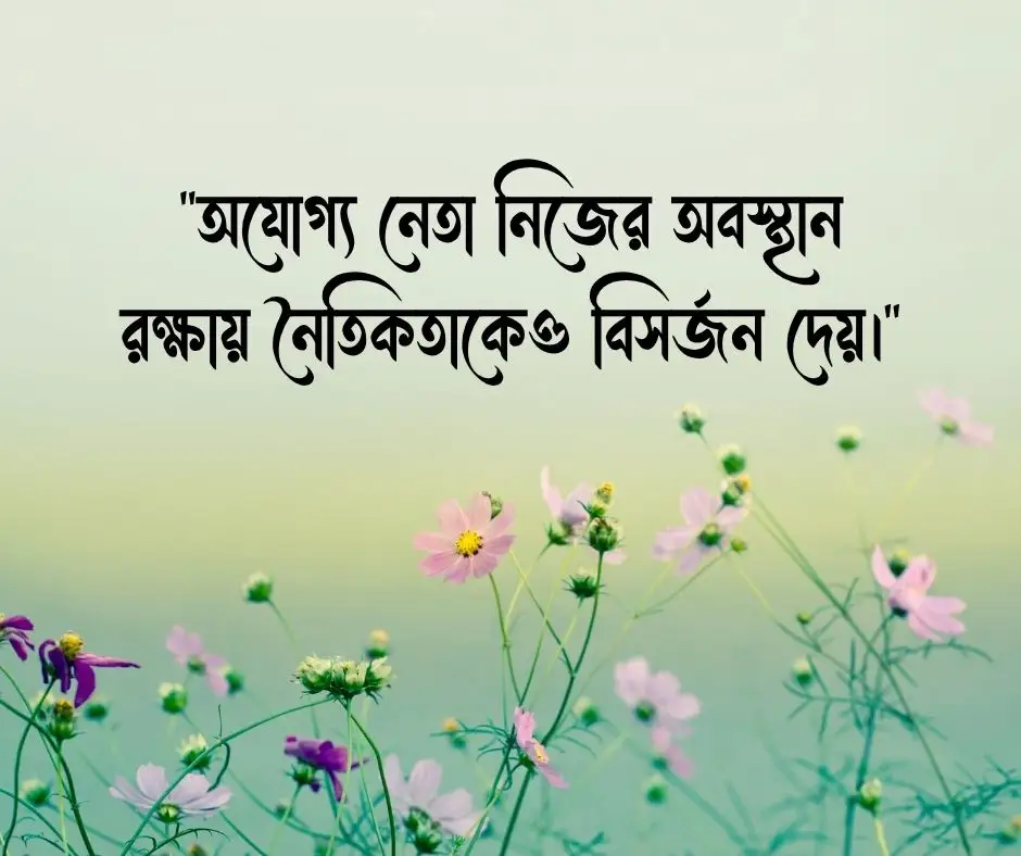 অযোগ্য নেতা নিয়ে উক্তি