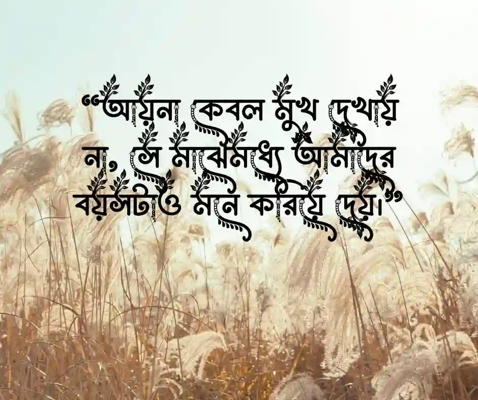 আয়না নিয়ে উক্তি