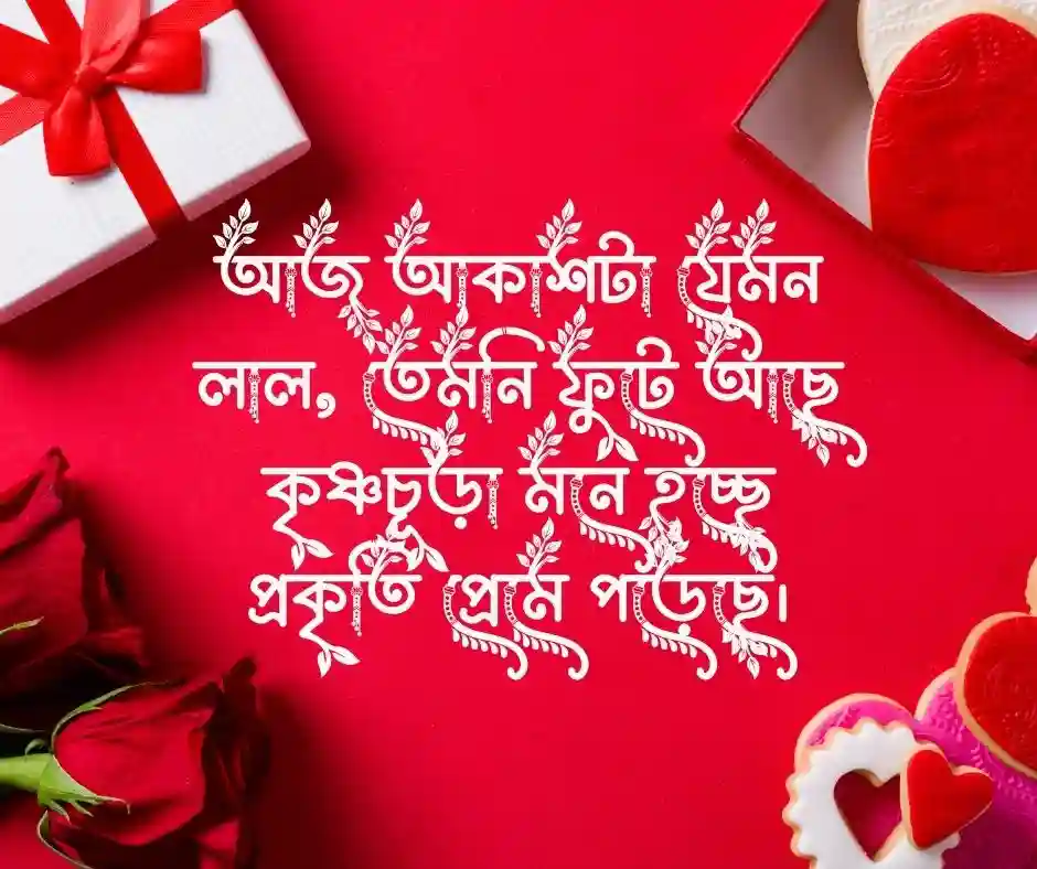 কৃষ্ণচূড়া ফুল নিয়ে ক্যাপশন