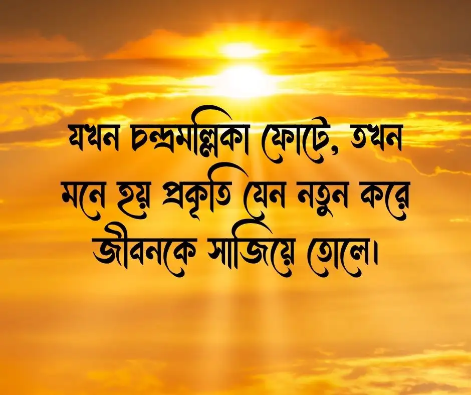 চন্দ্রমল্লিকা ফুল নিয়ে ক্যাপশন