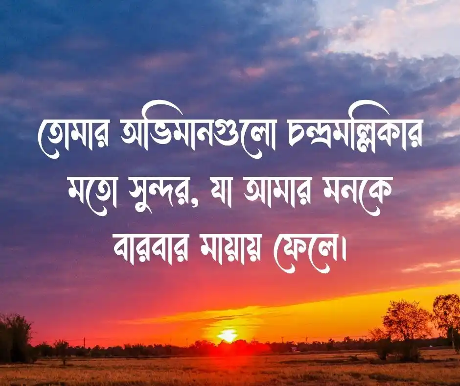 চন্দ্রমল্লিকা ফুল নিয়ে রোমান্টিক স্ট্যাটাস