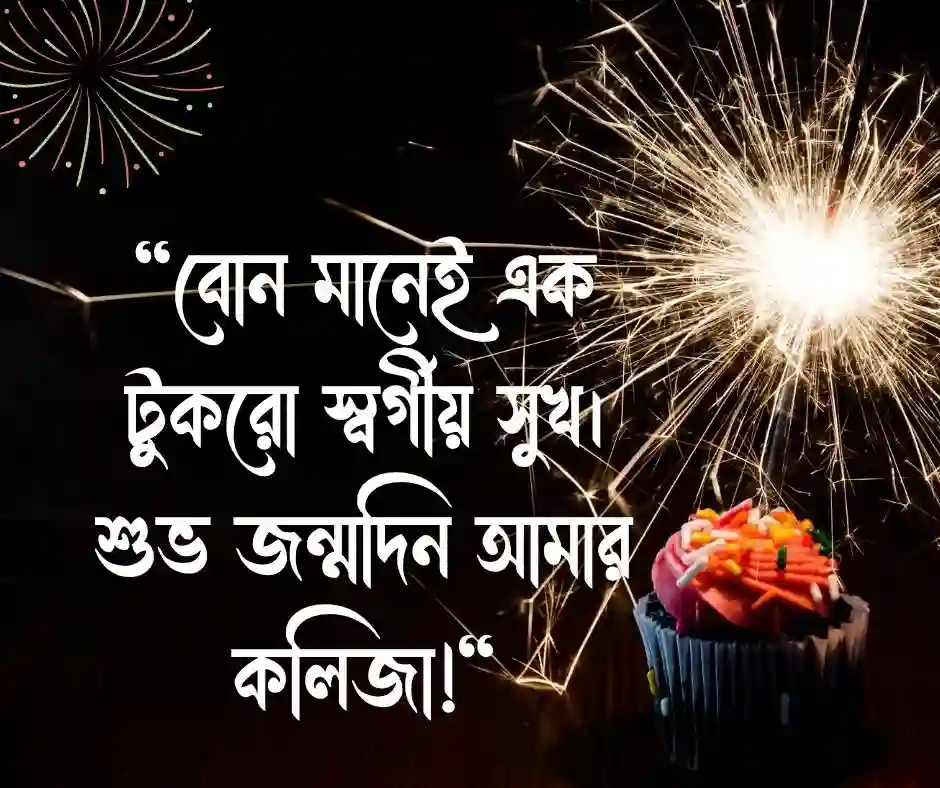 ছোট বোনের জন্মদিনের ক্যাপশন