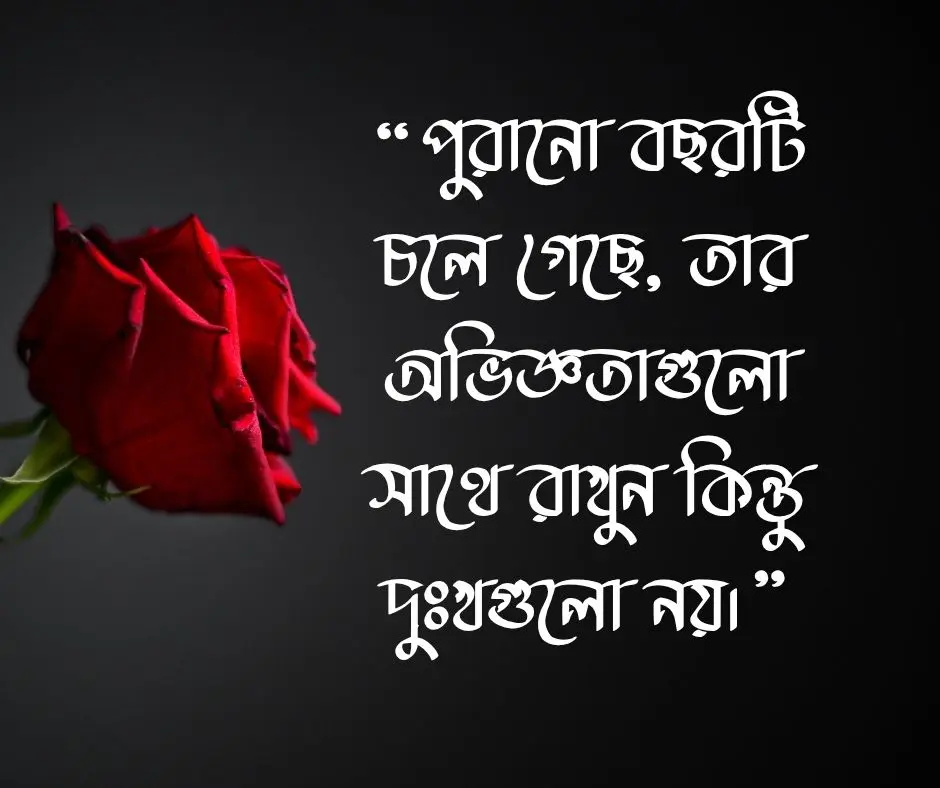 নতুন বছর নিয়ে উক্তি