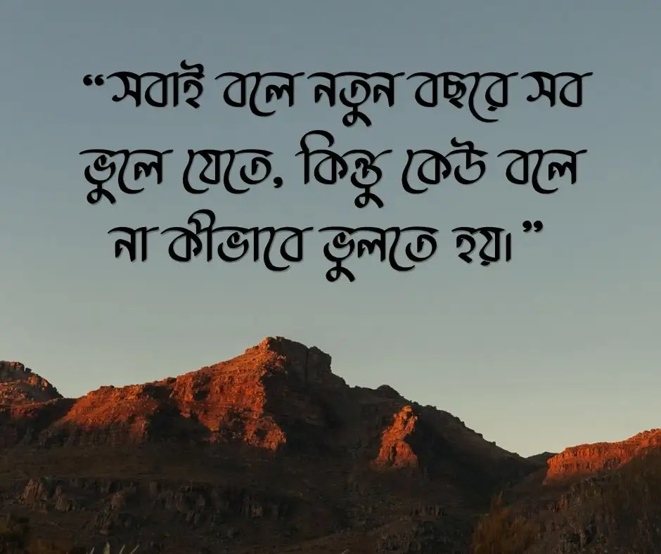 নতুন বছর নিয়ে কষ্টের উক্তি