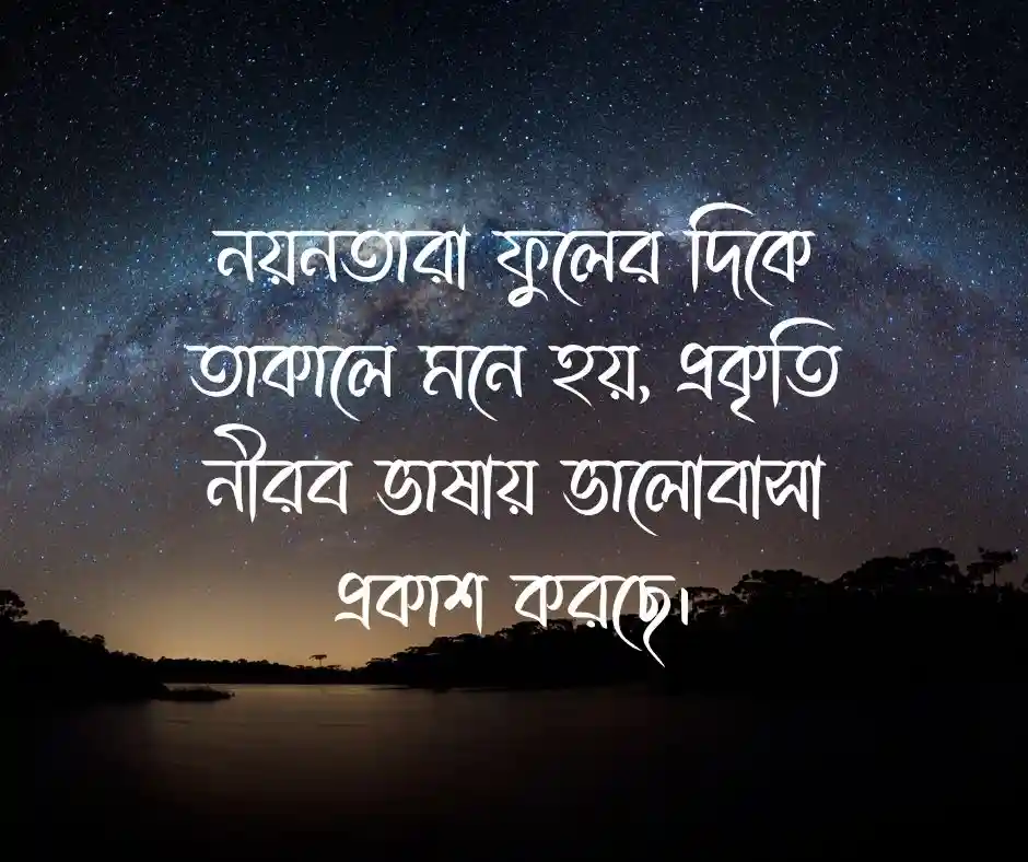 নয়নতারা ফুল নিয়ে উক্তি