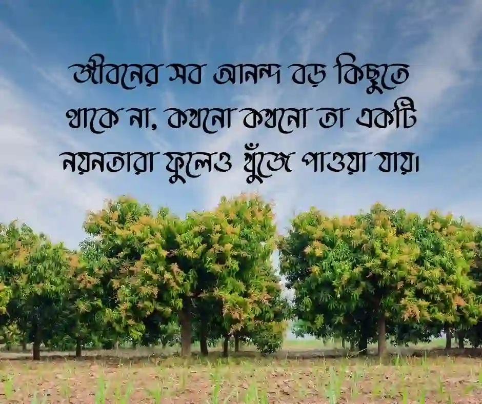 নয়নতারা ফুল নিয়ে ক্যাপশন