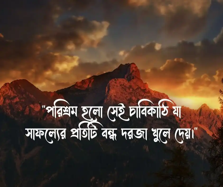 পরিশ্রম ও সফলতা নিয়ে উক্তি