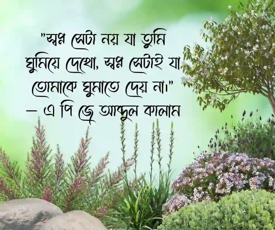 পরিশ্রম ও সফলতা নিয়ে বিখ্যাত উক্তি