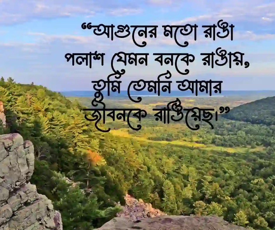 পলাশ ফুল নিয়ে রোমান্টিক স্ট্যাটাস