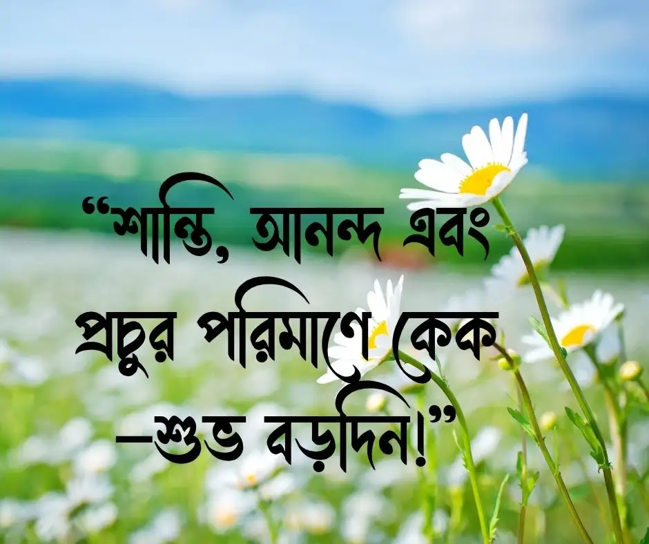 বড়দিনের শুভেচ্ছা মেসেজ