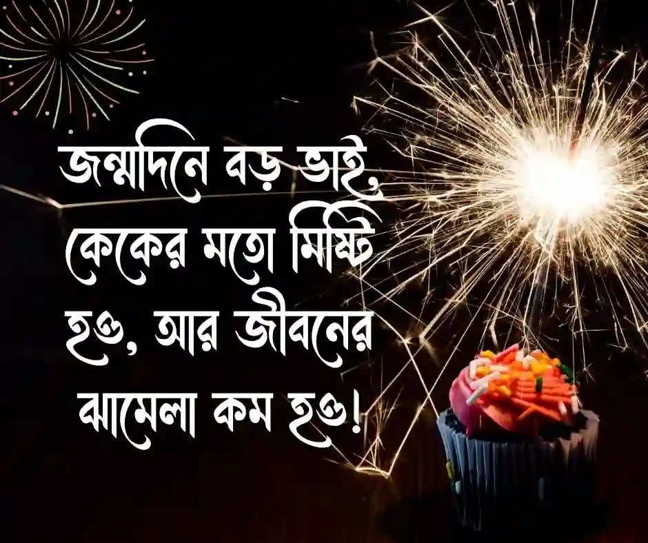 বড় ভাইয়ের জন্মদিনের শুভেচ্ছা ফানি