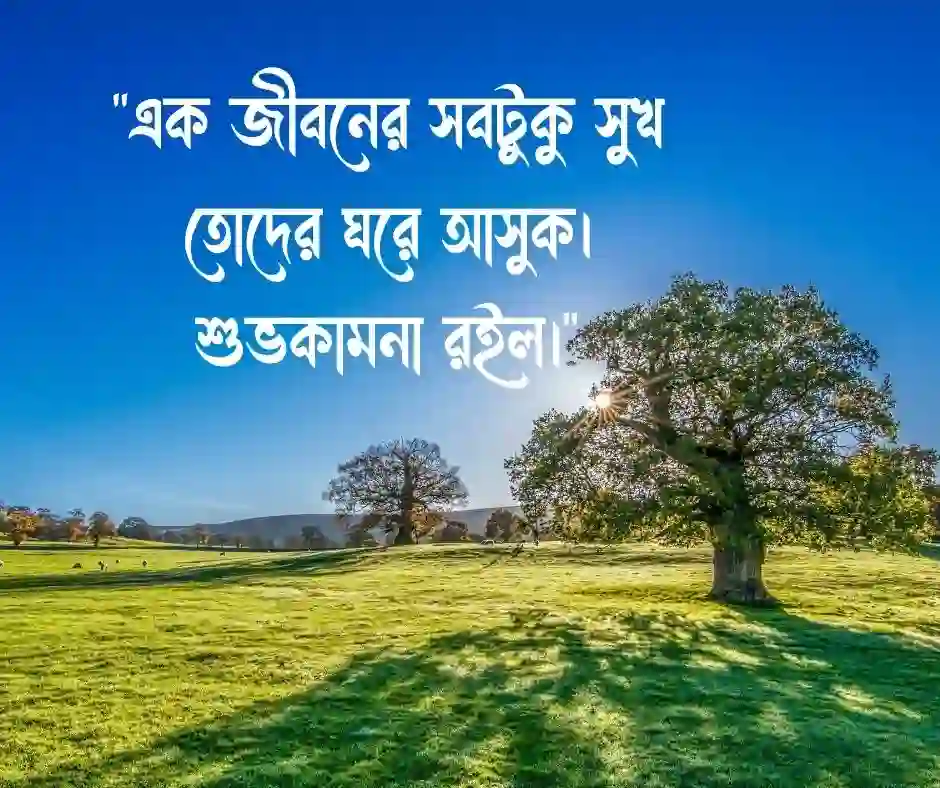 বন্ধুর বিয়ের শুভেচ্ছা স্ট্যাটাস