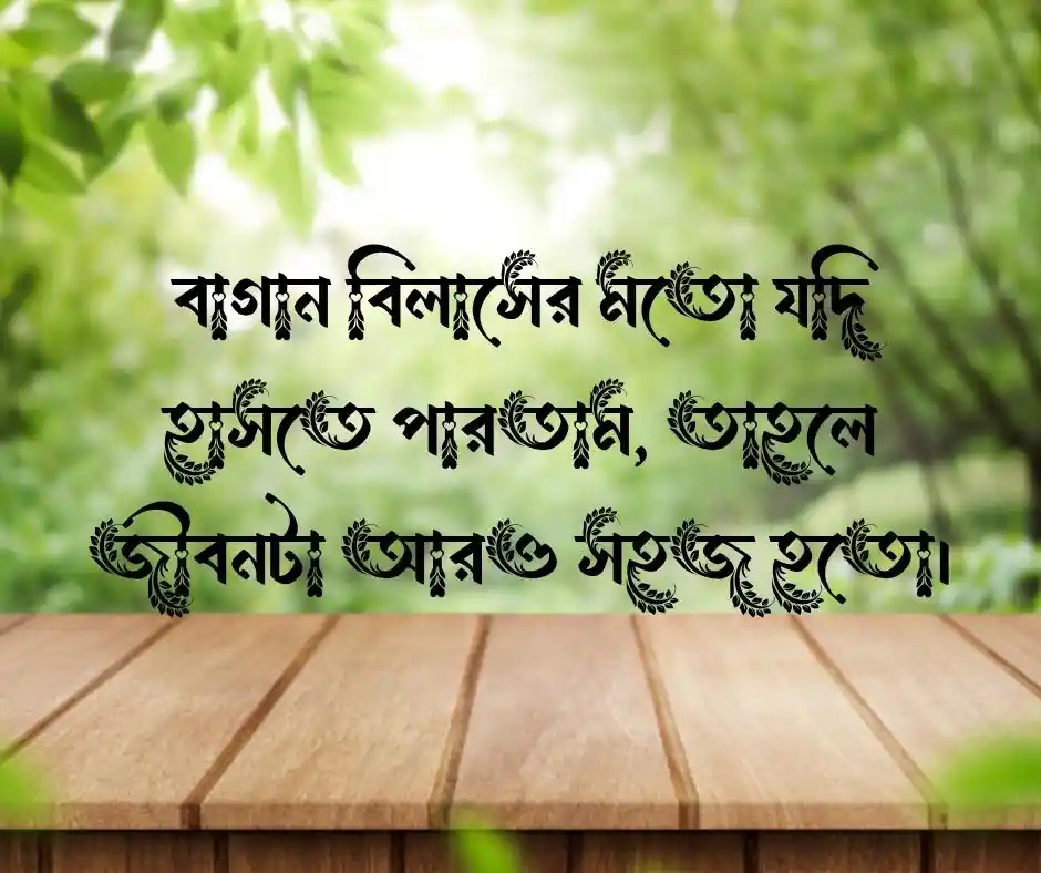 বাগান বিলাস ফুল নিয়ে ক্যাপশন