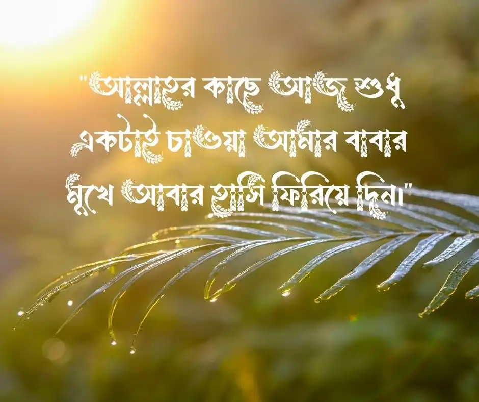 বাবার অসুস্থতা নিয়ে কষ্টের স্ট্যাটাস