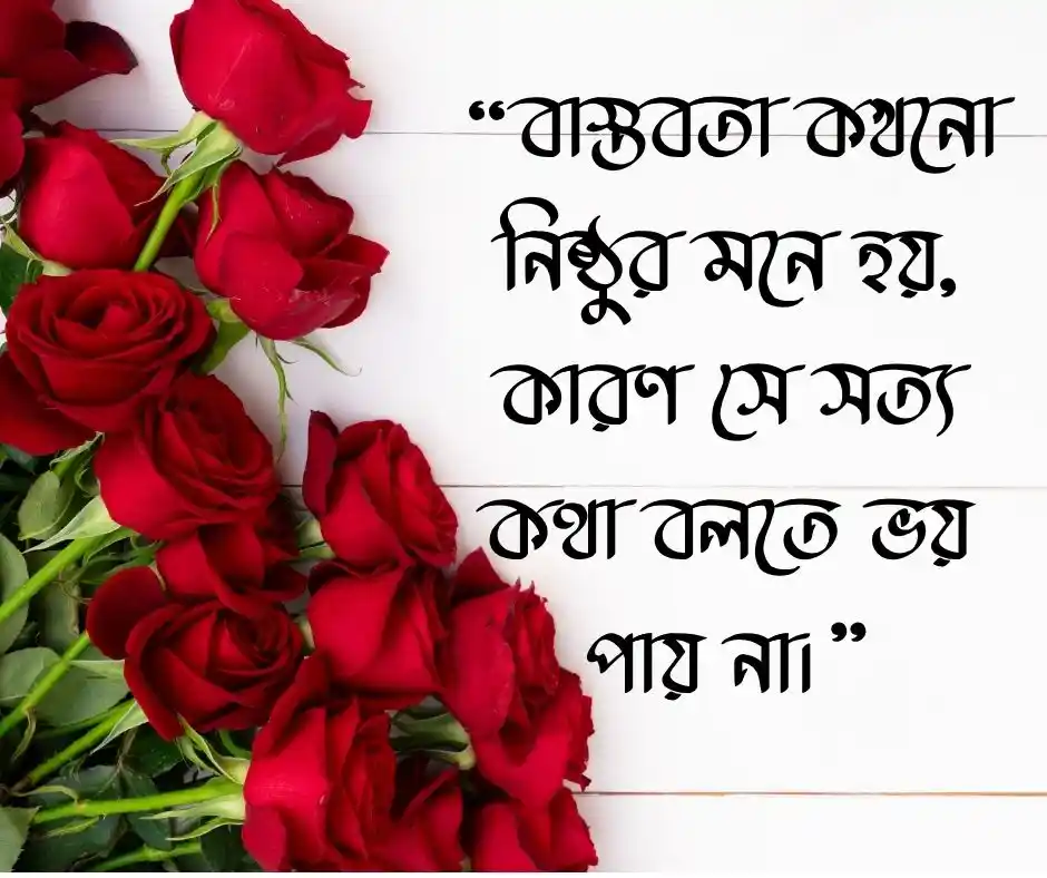 বাস্তবতা নিয়ে ফেসবুক স্ট্যাটাস