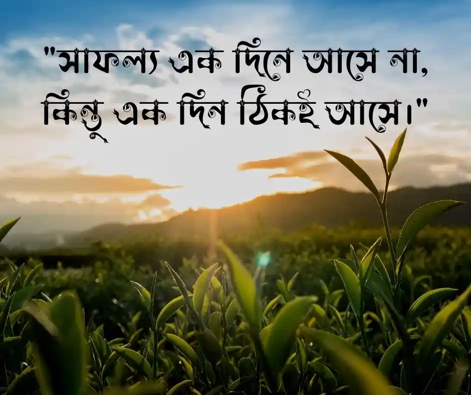 ব্যর্থতা থেকে সফলতার উক্তি