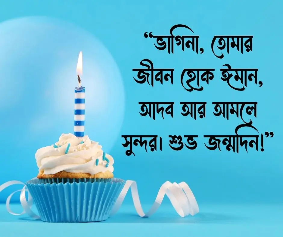ভাগিনার জন্মদিনের শুভেচ্ছা স্ট্যাটাস