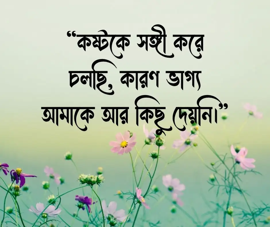 ভাগ্য নিয়ে ক্যাপশন
