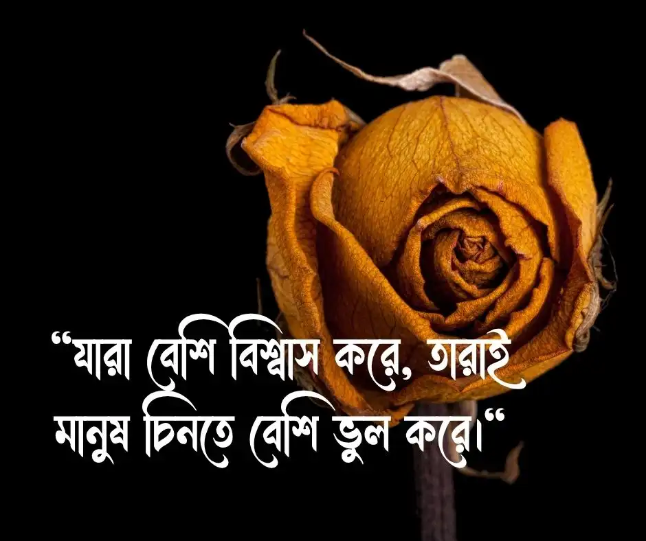 মানুষ চিনতে ভুল করা নিয়ে উক্তি