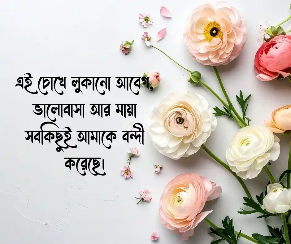 মায়াবী চোখ নিয়ে স্ট্যাটাস