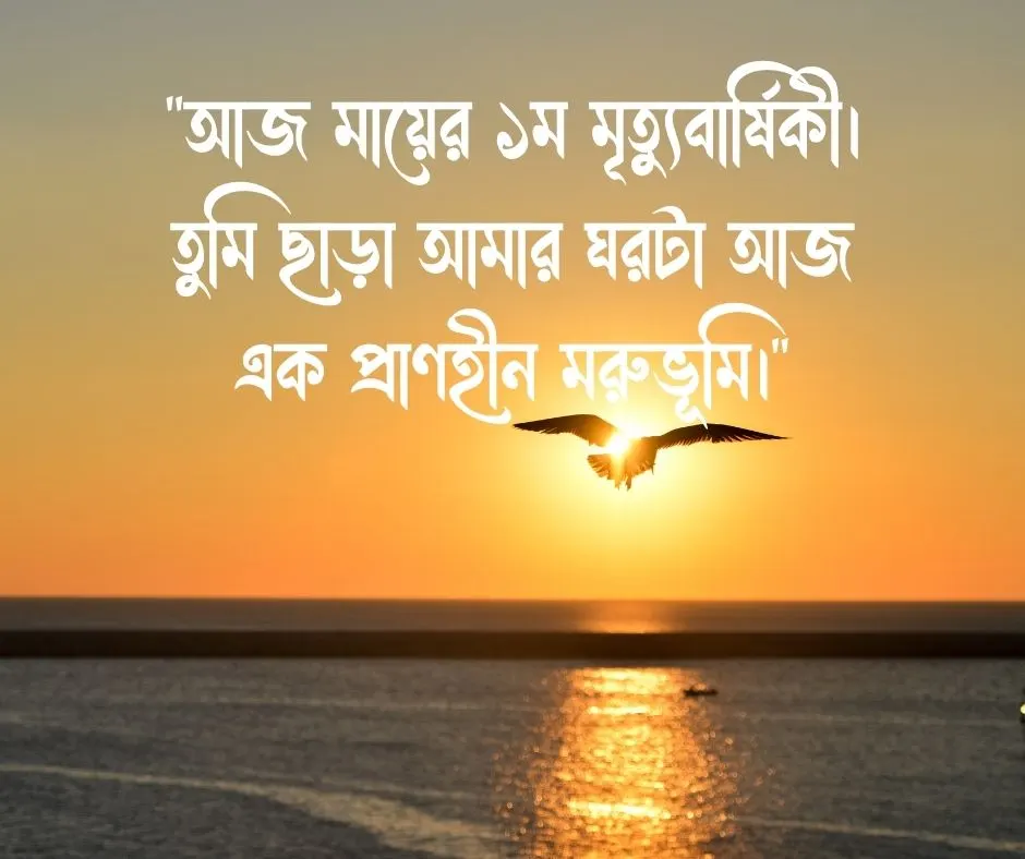 মায়ের ১ম মৃত্যু বার্ষিকী স্ট্যাটাস