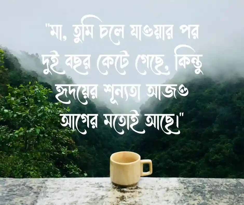 মায়ের ২য় মৃত্যু বার্ষিকী স্ট্যাটাস