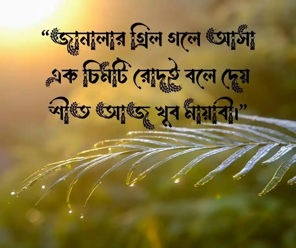 শীতের দুপুর নিয়ে ক্যাপশন