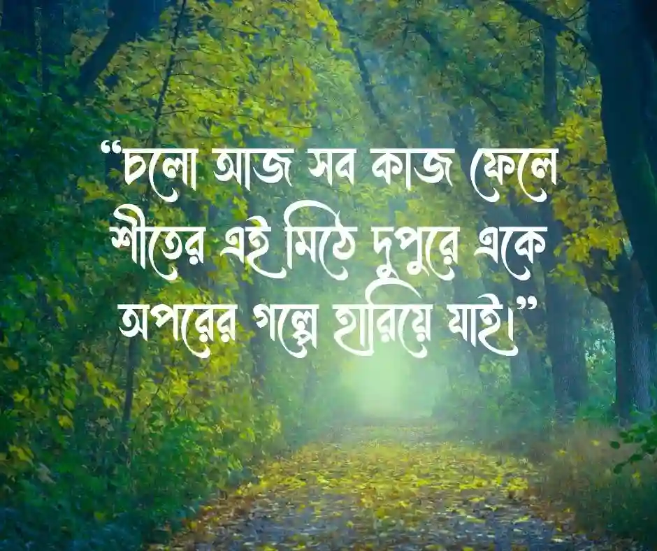 শীতের দুপুর নিয়ে রোমান্টিক স্ট্যাটাস