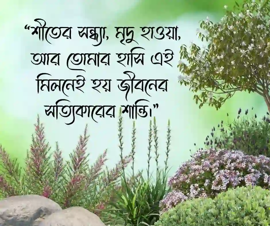 শীতের সন্ধ্যা নিয়ে ক্যাপশন