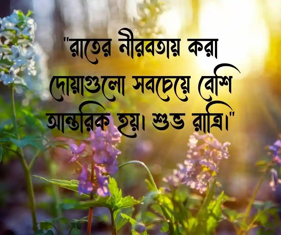 শুভ রাত্রি ইসলামিক স্ট্যাটাস