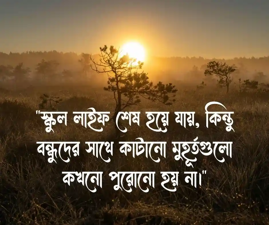 স্কুল লাইফের বন্ধুদের নিয়ে স্ট্যাটাস