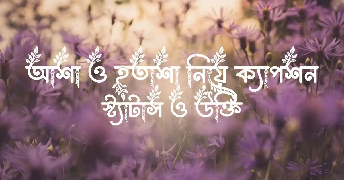 আশা ও হতাশা নিয়ে ক্যাপশন, স্ট্যাটাস ও উক্তি