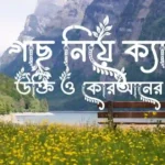 গাছ নিয়ে ক্যাপশন, উক্তি ও কোরআনের আয়াত