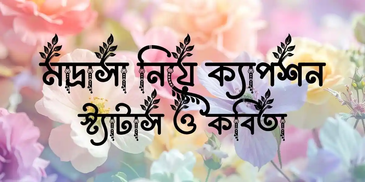 মাদ্রাসা নিয়ে ক্যাপশন, স্ট্যাটাস ও কবিতা