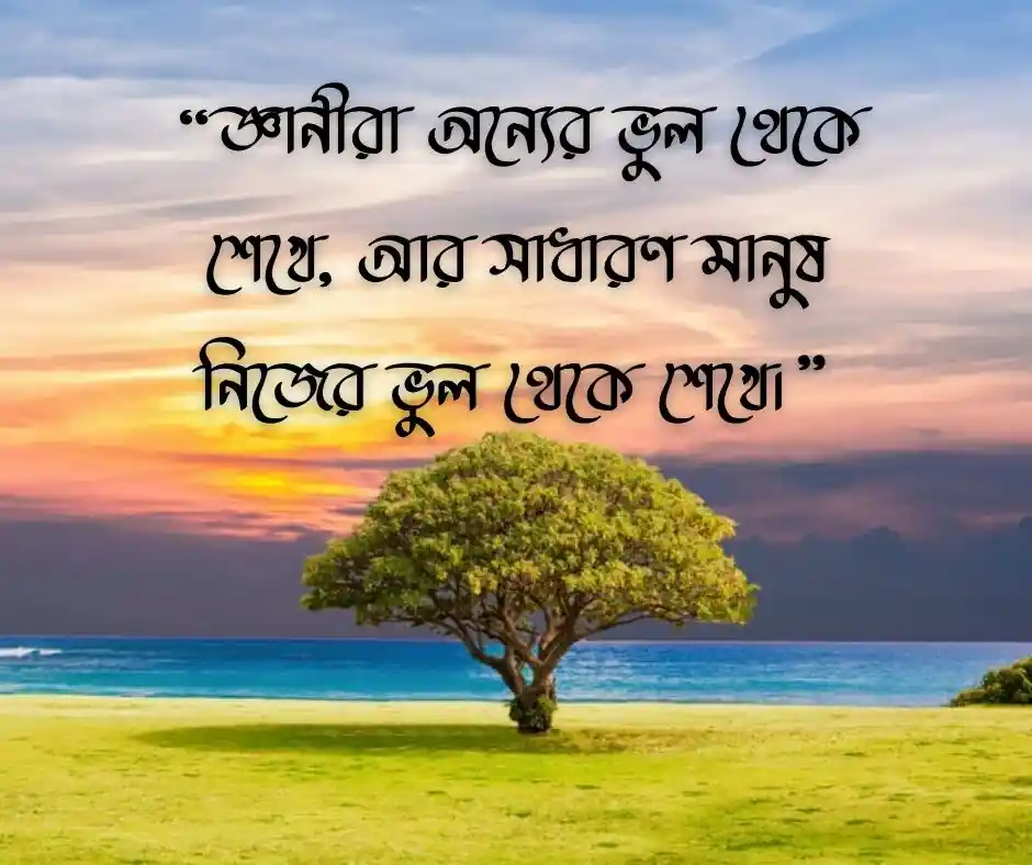 অতীতের ভুল নিয়ে উক্তি