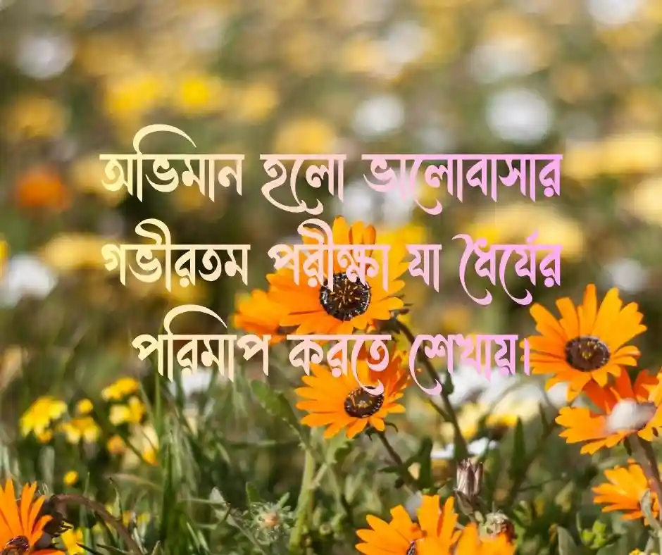 অভিমান নিয়ে উক্তি