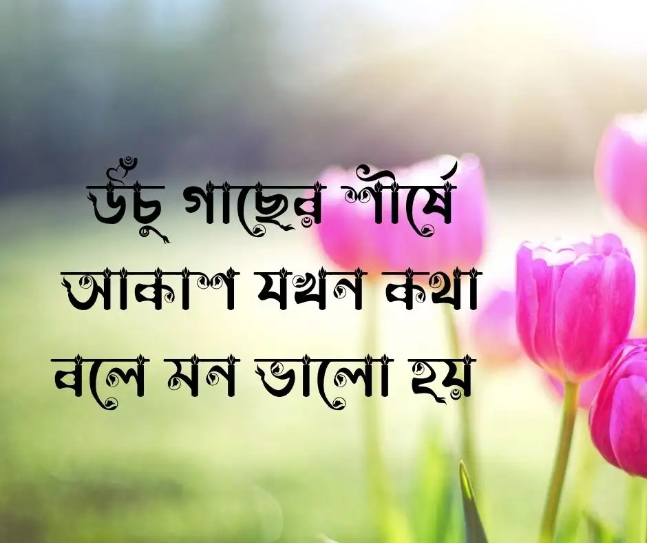 আকাশ ও গাছ নিয়ে ক্যাপশন