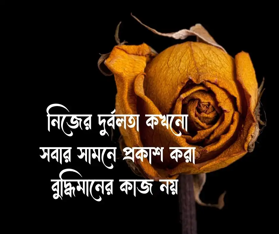 উপদেশমূলক বাক্য