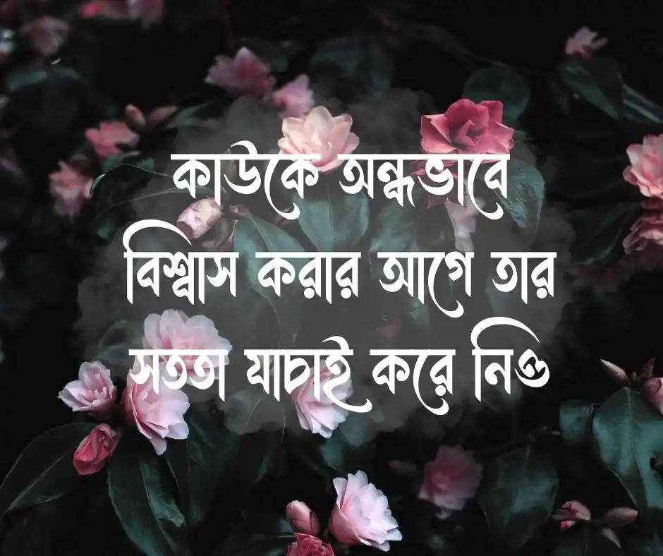উপদেশমূলক স্ট্যাটাস