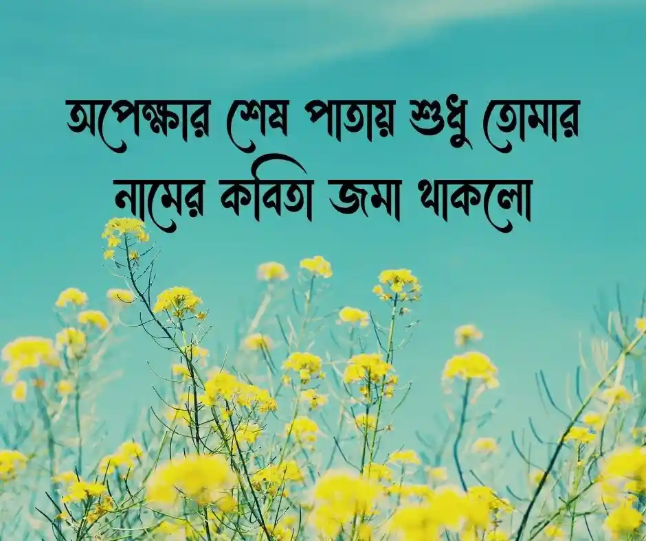 কাব্যিক ক্যাপশন বাংলা