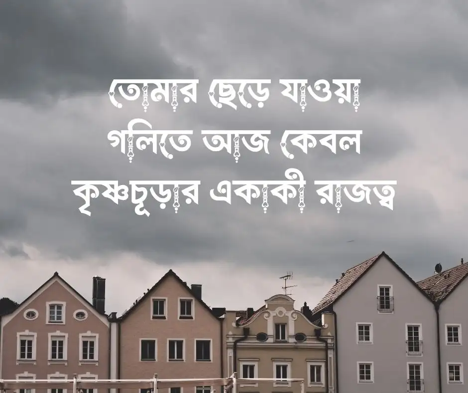 কিছু কাব্যিক ক্যাপশন
