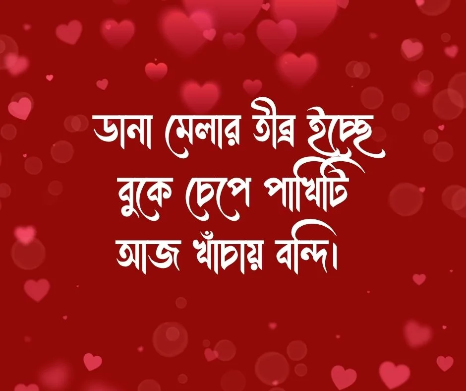 খাঁচার পাখি নিয়ে ক্যাপশন