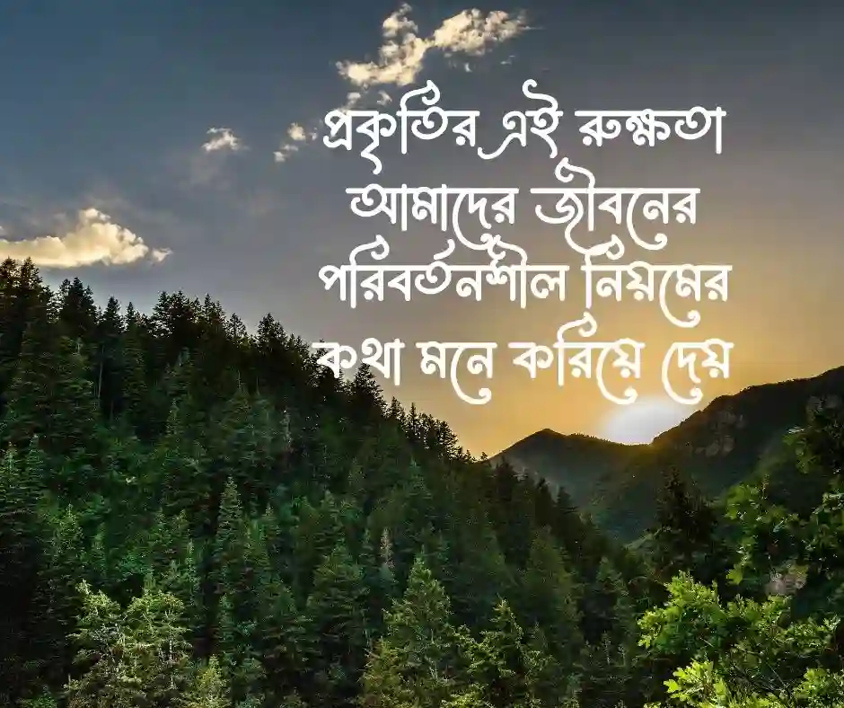 গরম নিয়ে উক্তি