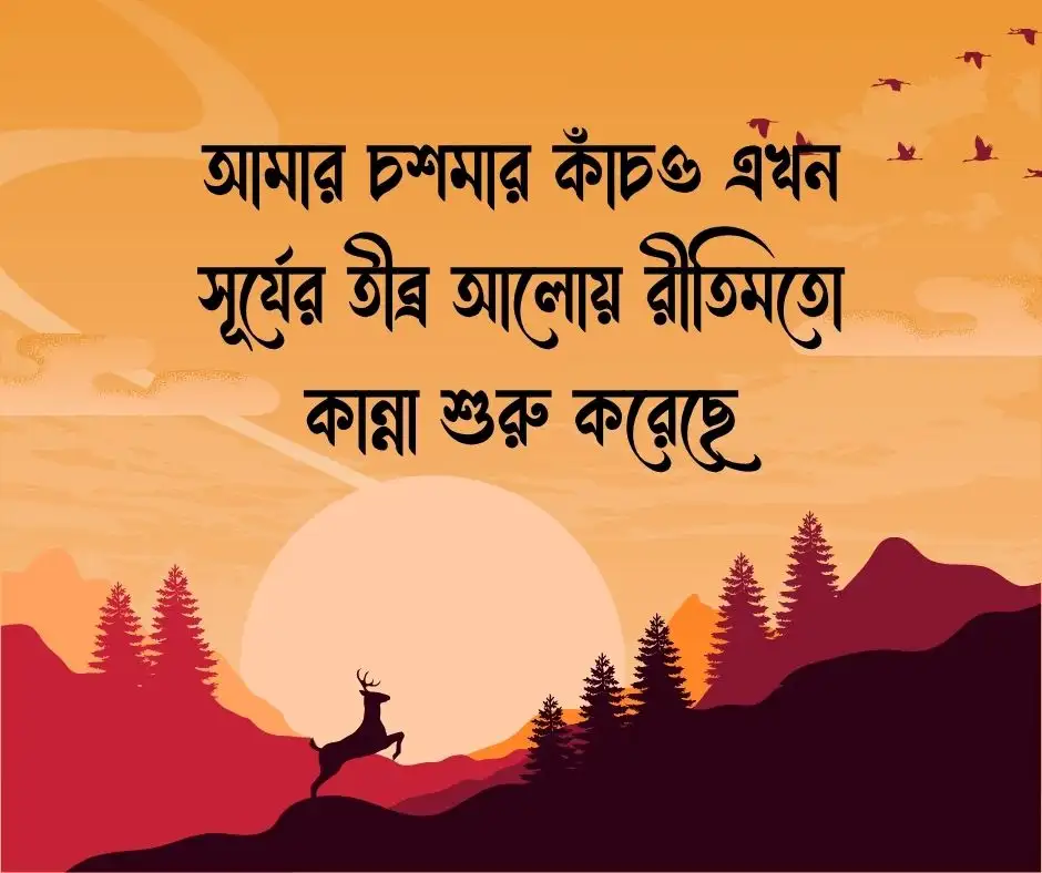 গরম নিয়ে ফানি স্ট্যাটাস গরম নিয়ে জোকস