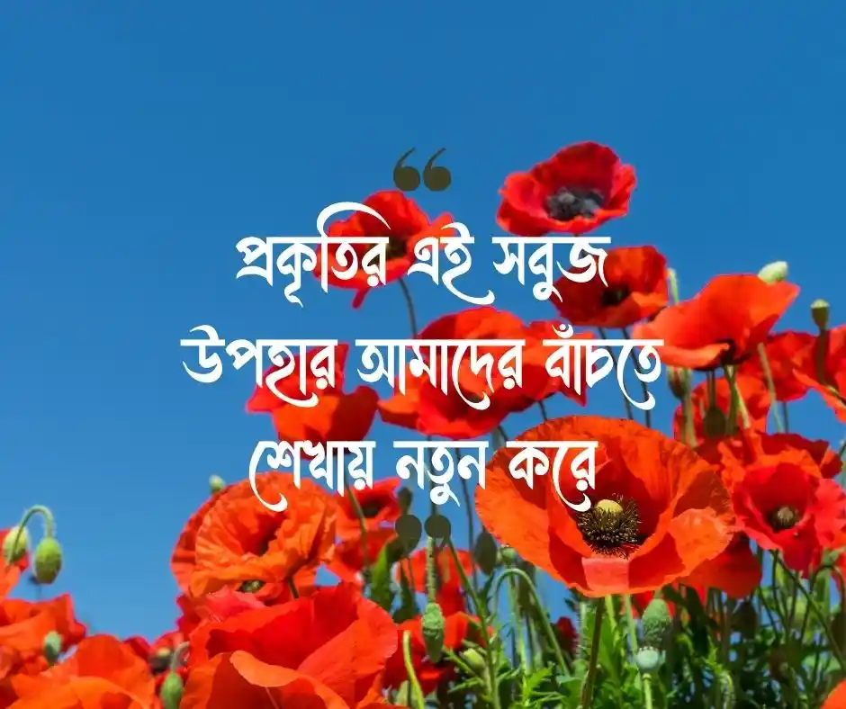গাছ নিয়ে ক্যাপশন