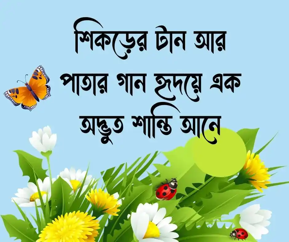 গাছ নিয়ে ক্যাপশন