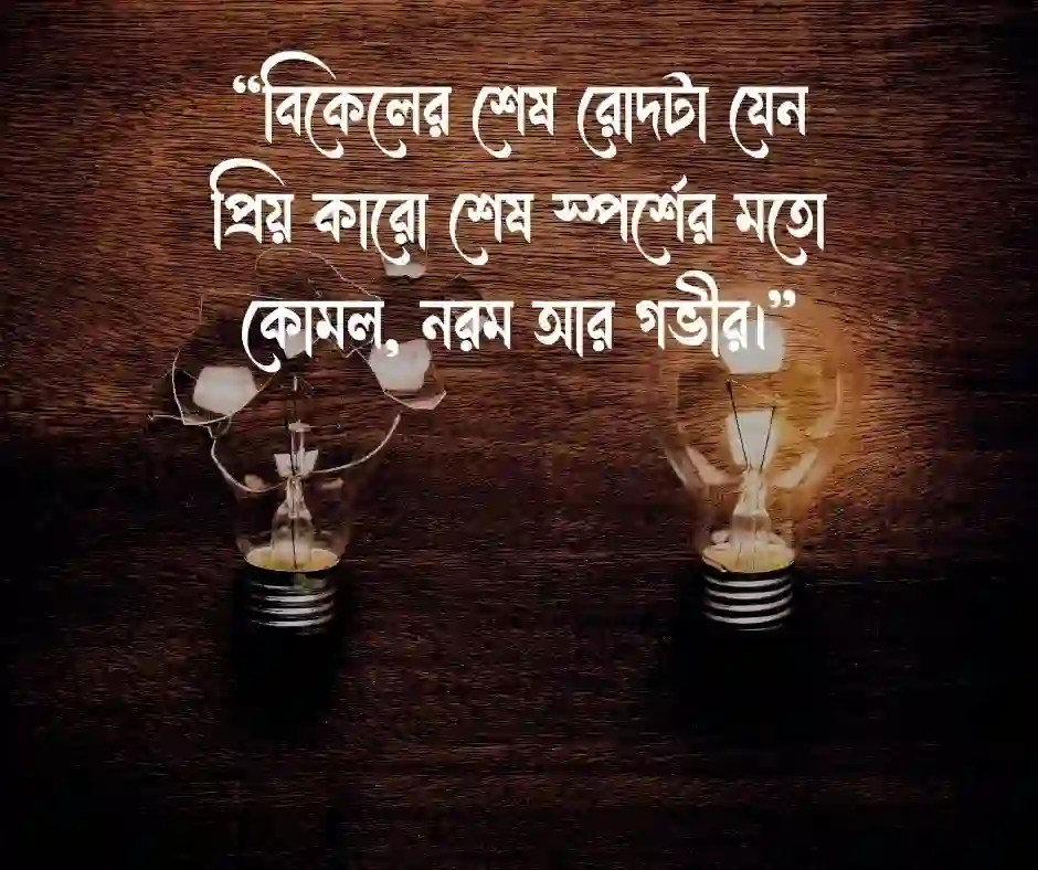 গোধূলি বিকেল নিয়ে ক্যাপশন
